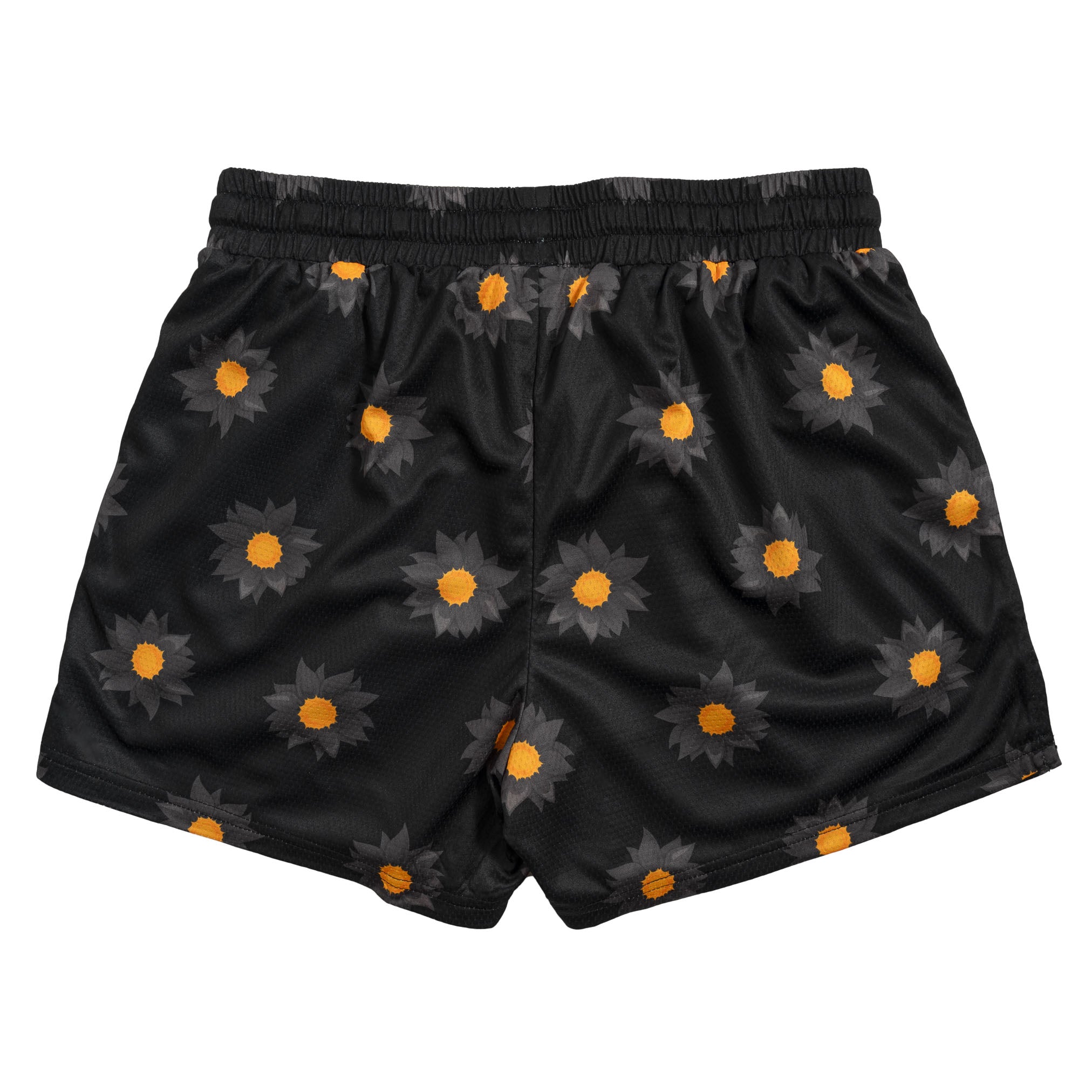SunflowerBlackout-2-2.jpg