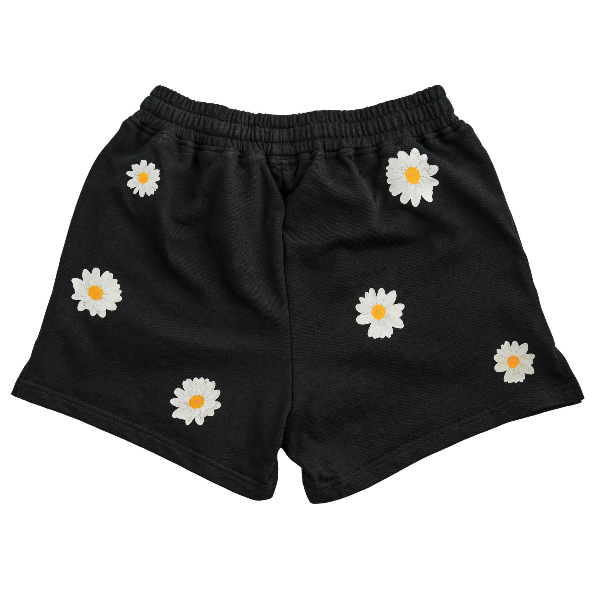 daisyshorts--6.jpg